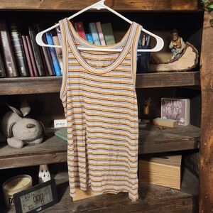 American Eagle Outfitters Multicolor Striped Tank Top